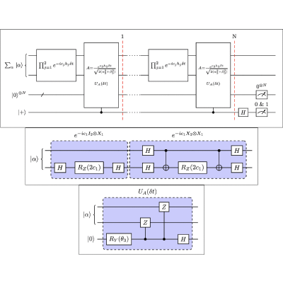Figure 7