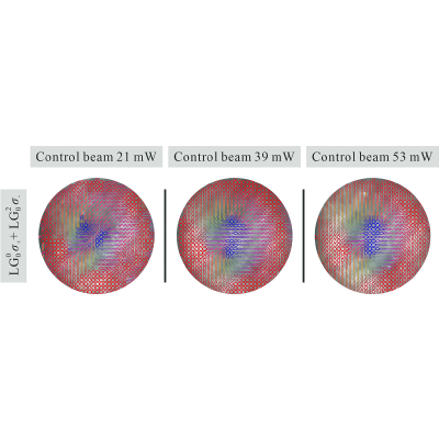 Figure 10