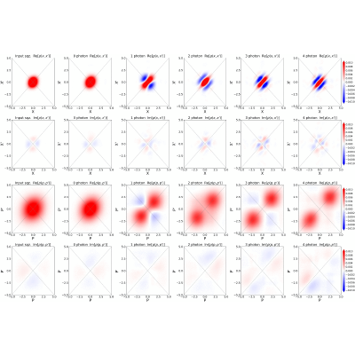 Figure 13