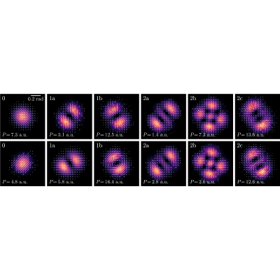 Figure 12