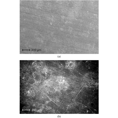 Figure 28
