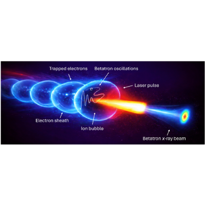 Figure 13