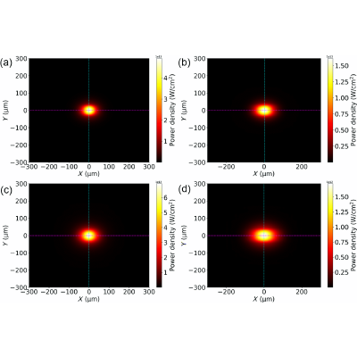 Figure 10