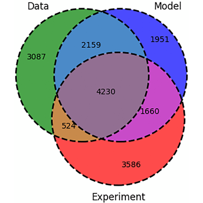 Figure 13