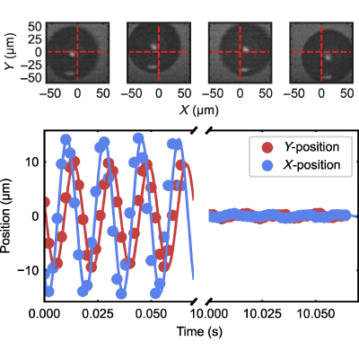 Figure 10