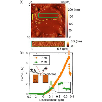 Figure 4