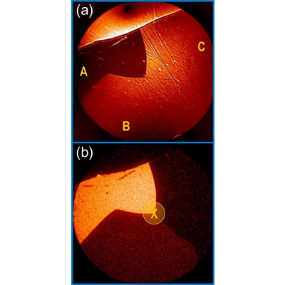 Figure 15