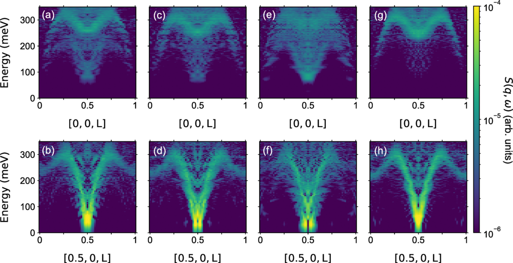 Cooper-pair localization in the magnetic dynamics of a cuprate