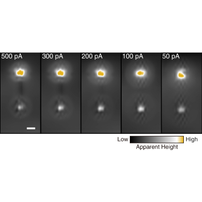 Figure 4
