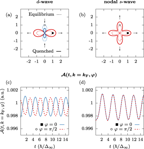 フェイズ2 Momentum-resolved analysis of condensate dynamic and Higgs