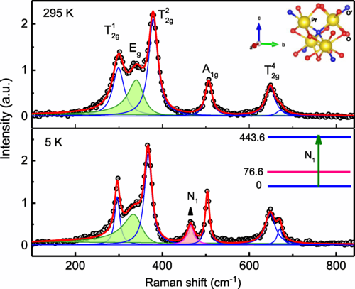 Non-Fermi-liquid signatures of quadratic band touching and phonon