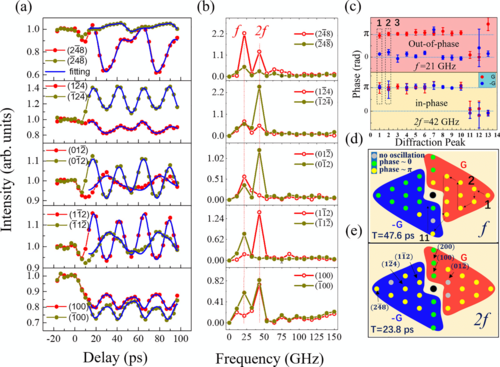 Inhomogeneous excitation-regulated coherent strain wave in