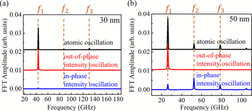Inhomogeneous excitation-regulated coherent strain wave in
