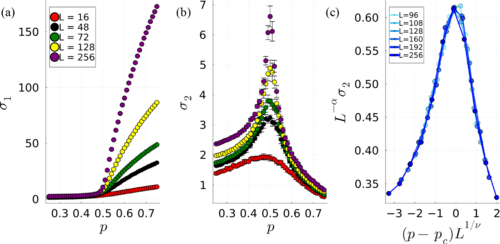 Steering-induced phase transition in measurement-only quantum
