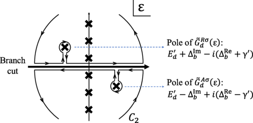 PAM様資料 Correlation versus dissipation in a non-Hermitian Anderson