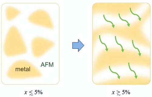 Cu NMR study of lightly doped | Phys. Rev. B