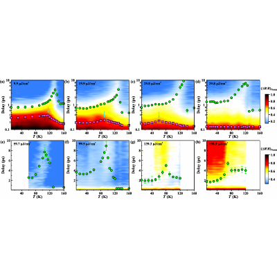 Ultrafast optical evidence of coexisting density waves in bilayer
