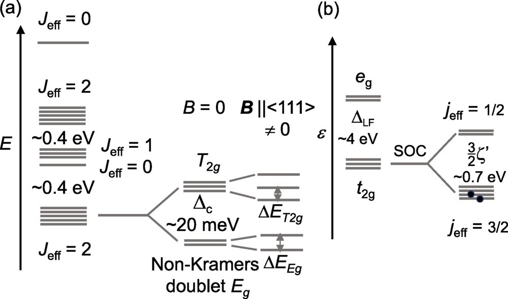 Possibility of ferro-octupolar order in assessed by x-ray magnetic