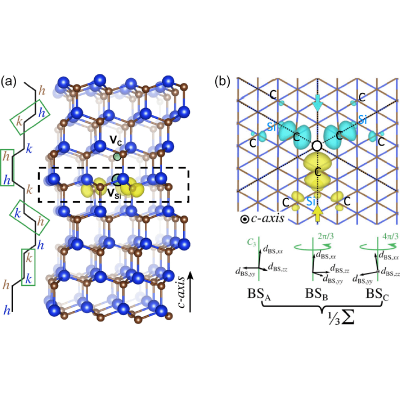 Zero-phonon lines, electron-phonon coupling, and optically induced