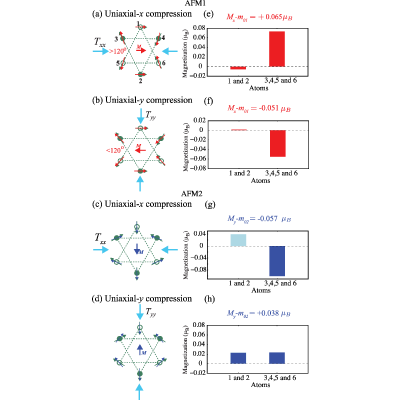 Figure 13