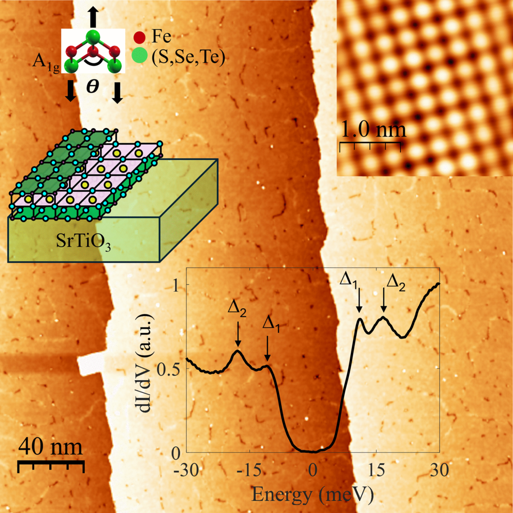 Correlation-enhanced electron-phonon coupling in FeSe/ at a magic