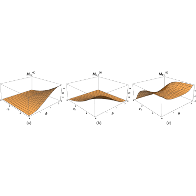Figure 21