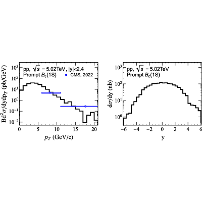 Figure 20