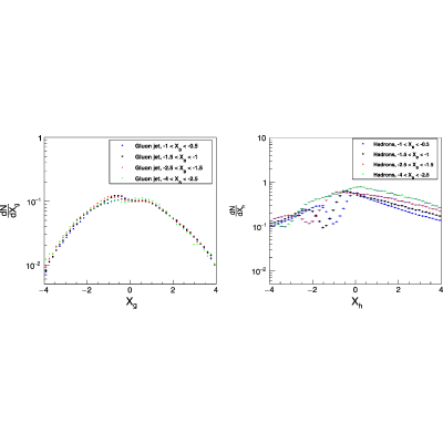 Figure 19