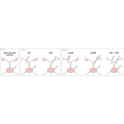 Figure 12