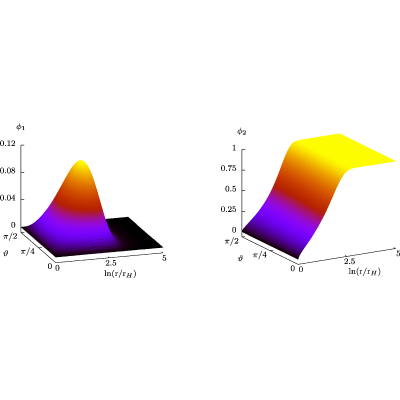 Figure 13