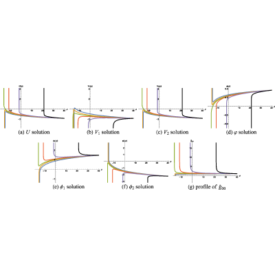 Figure 19