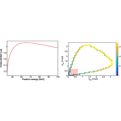 Figure 21