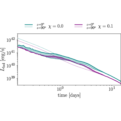 Figure 21