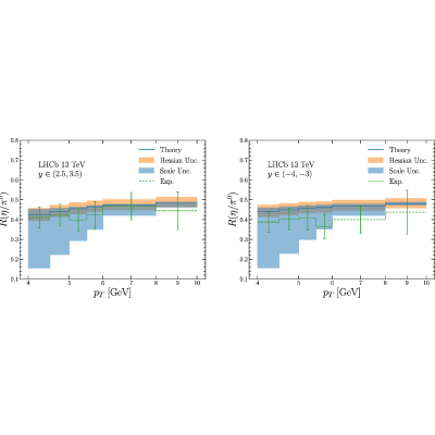 Figure 46