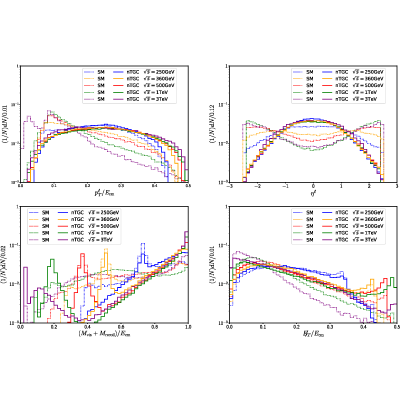 Figure 19