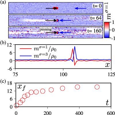 Figure 19