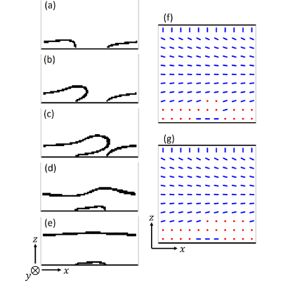 Figure 11