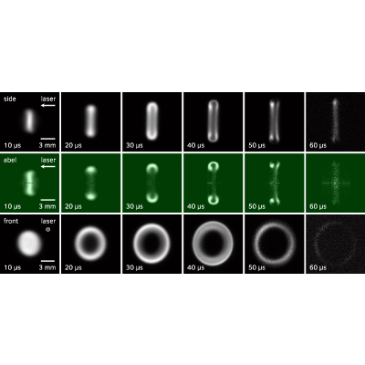 Figure 10