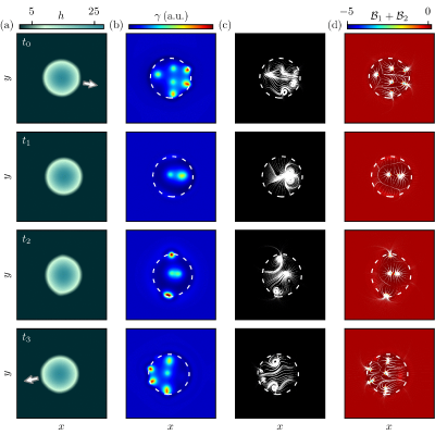 Figure 12
