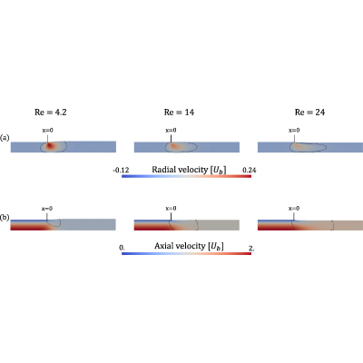 Figure 7
