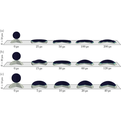 Figure 8