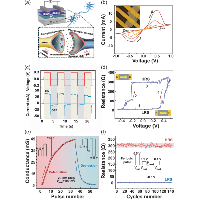 Figure 4