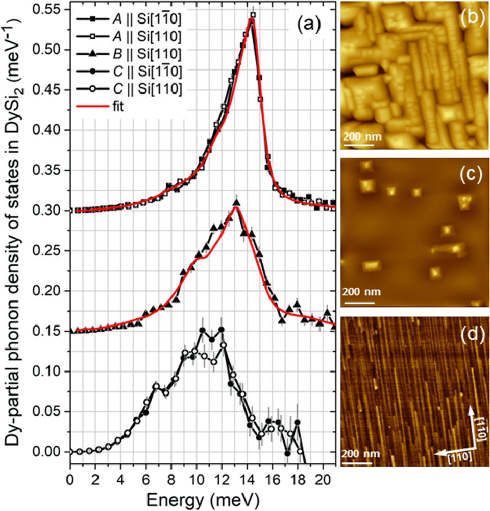 Phonons in Epitaxial : From the Bulk to Self-Organized Nanoislands