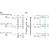 Coherent Control of Trapped-Ion Qubits with Localized Electric Fields ...