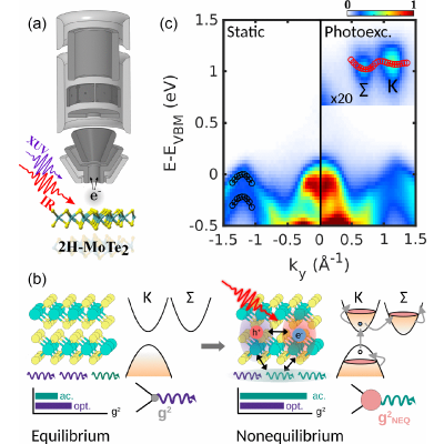 Ultrafast Nonequilibrium Enhancement of Electron-Phonon