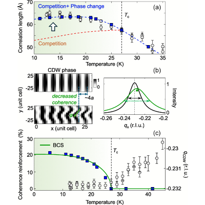 Superconductivity Reinforces Charge-Density-Wave Phase Coherence