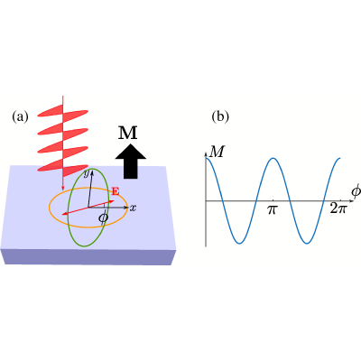 Nonlinear Optomagnetic Signature of -Wave Altermagnets | Phys. Rev