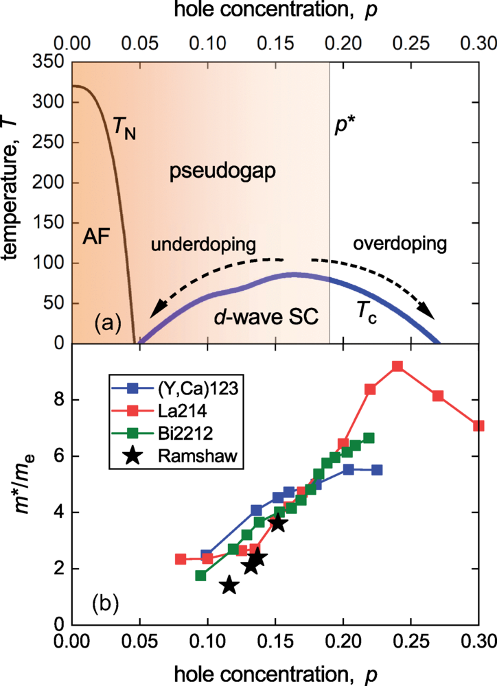 Questioning the Cuprate Paradigm: Absence of Superfluid Density