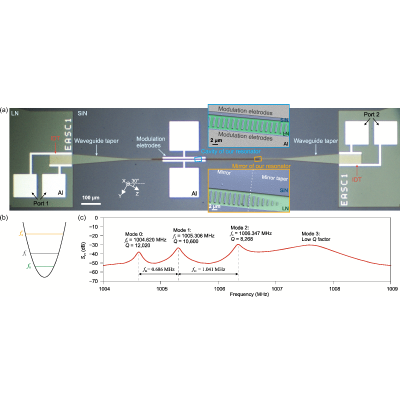 On-Chip Cavity Electroacoustics Using Lithium Niobate Phononic