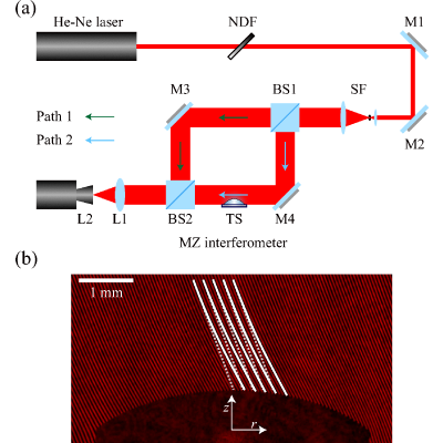 Figure 6